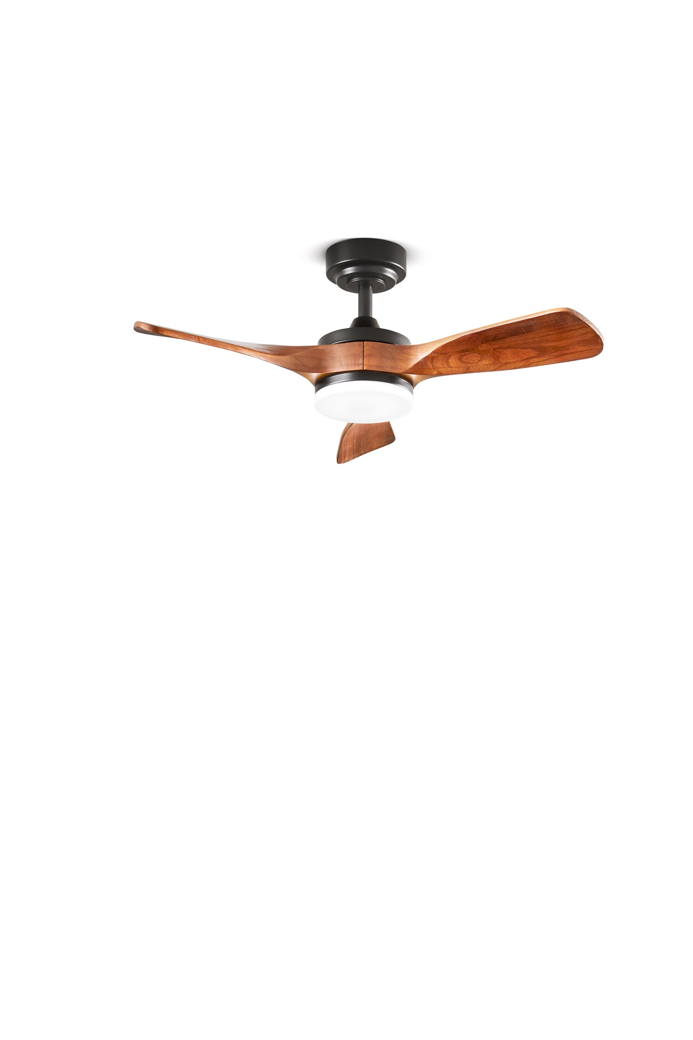 Peg