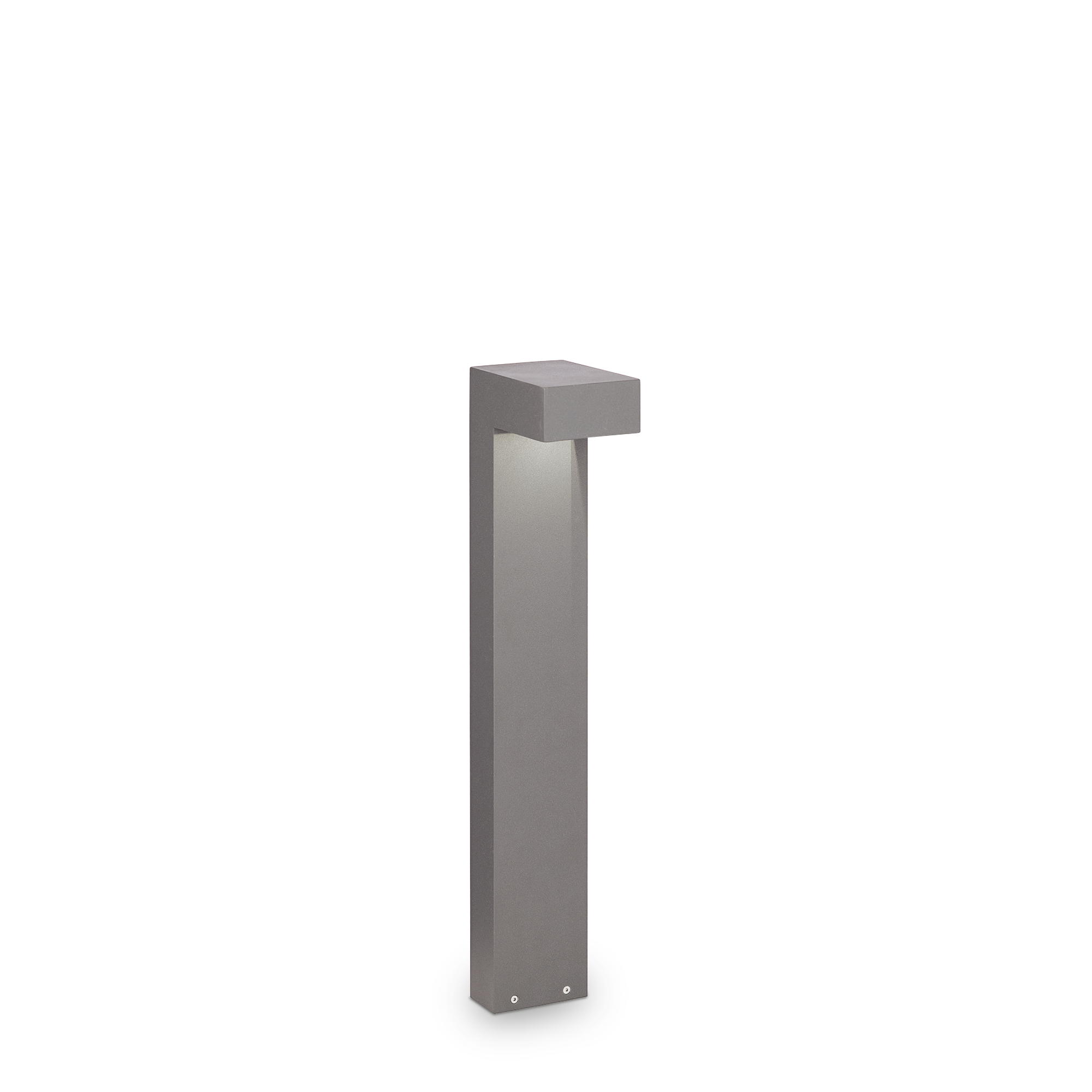 Licheva