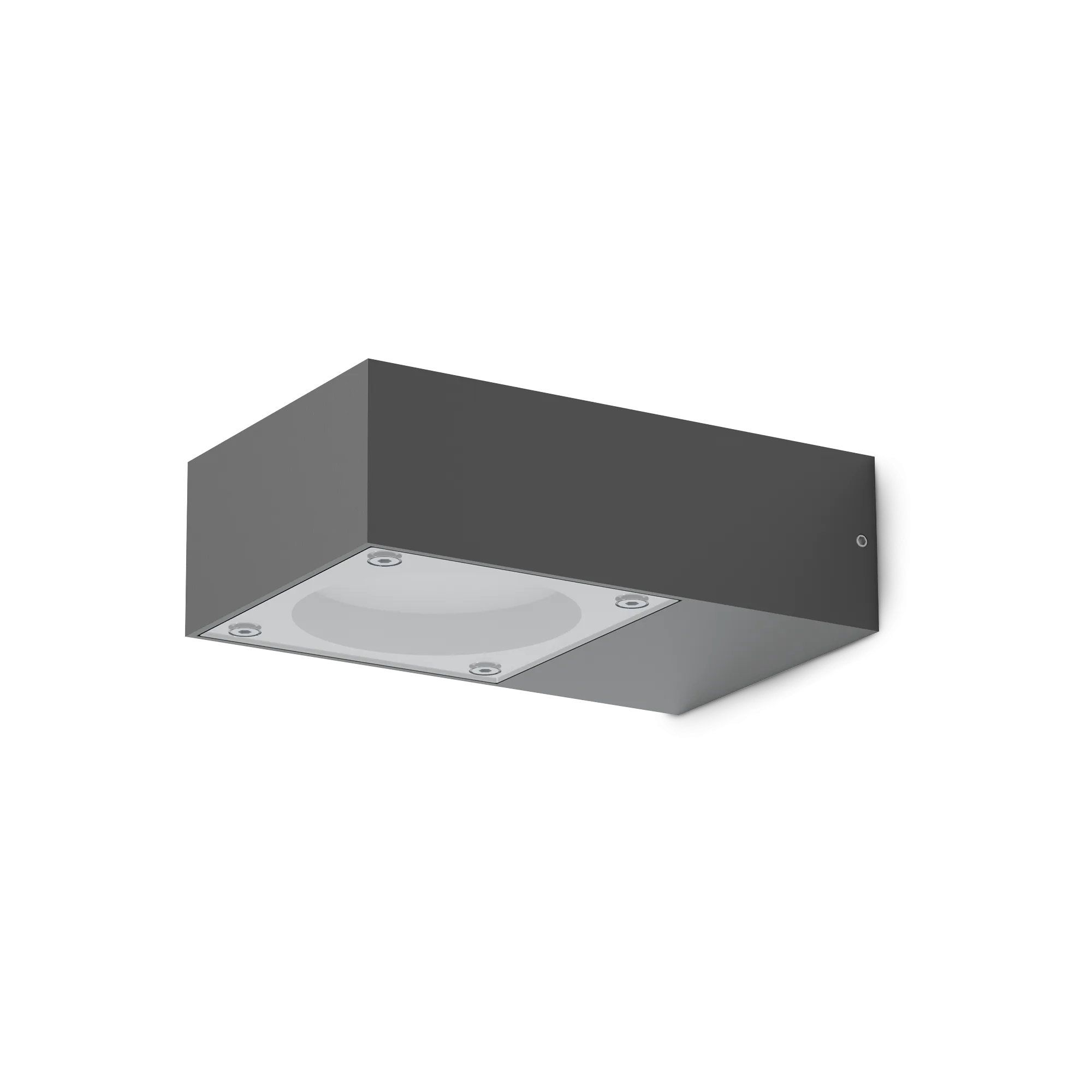 Lampada da esterno Licheva colore nero - Lumiavera