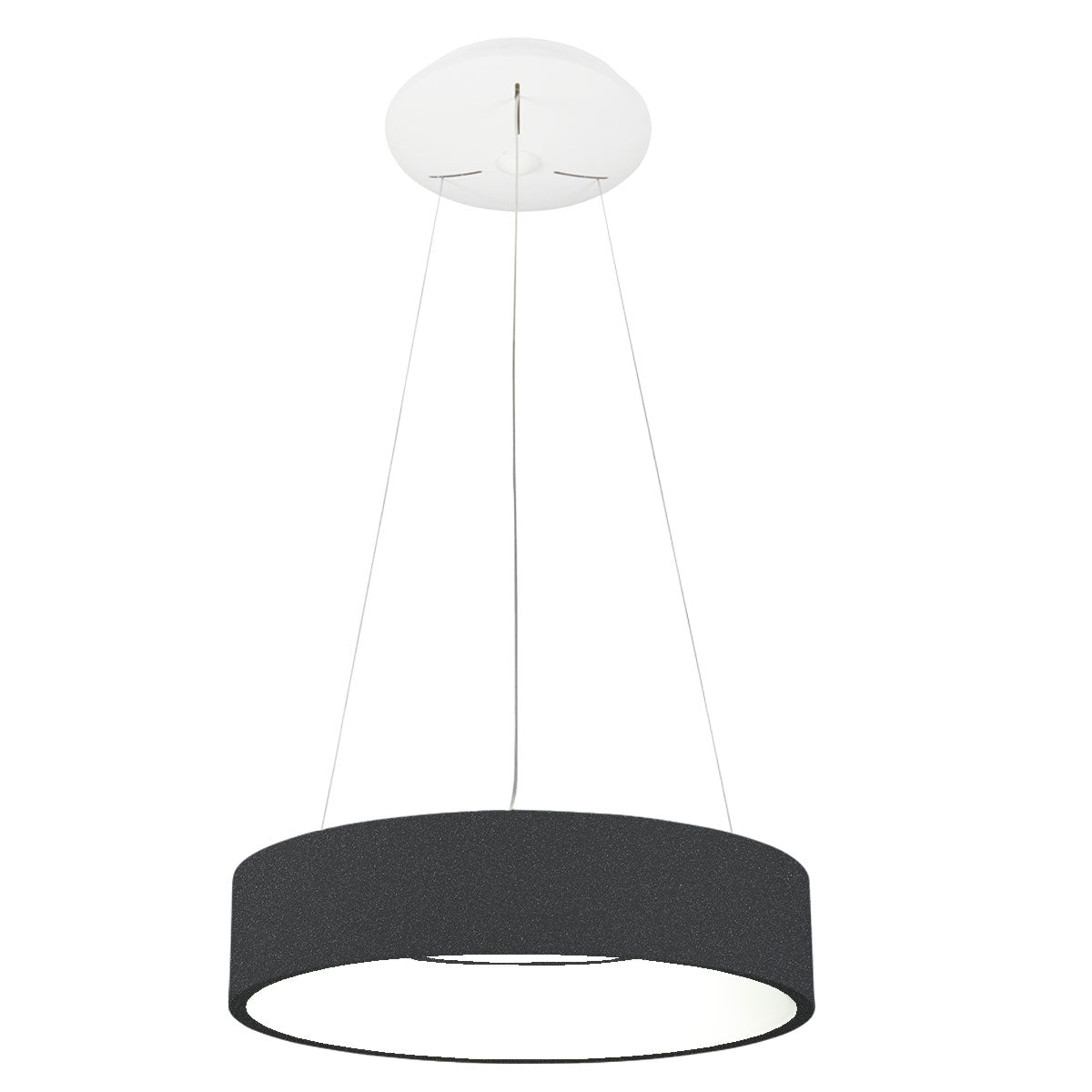 Orbita