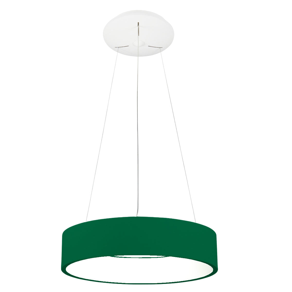Orbita