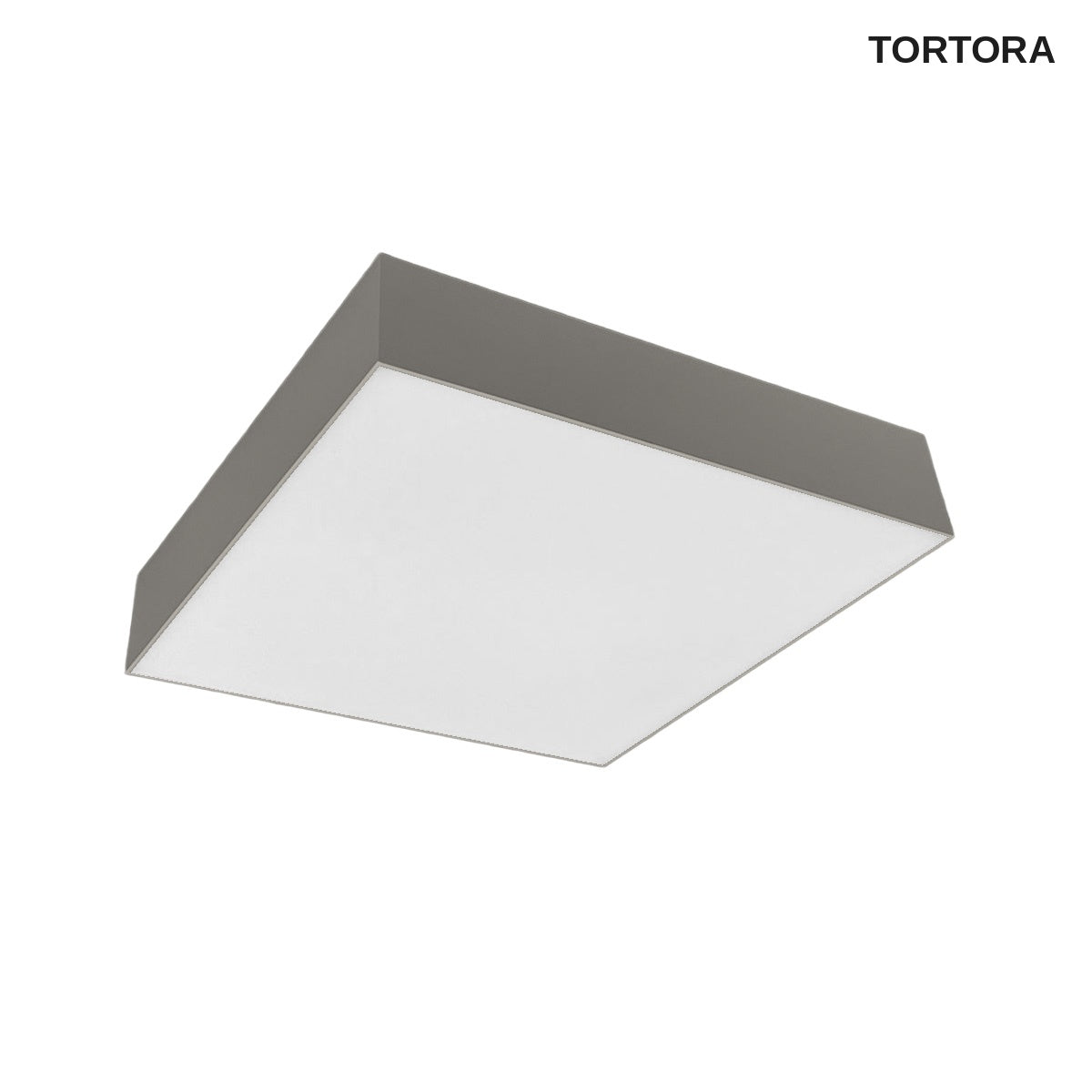 Satori - colore Tortora